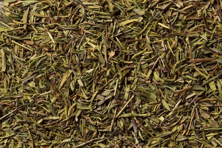 Can Thyme Survive Winter? Care Guide for Thyme