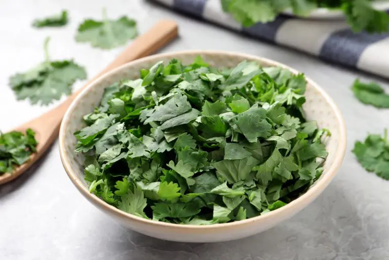 Dry Cilantro Vs Fresh Cilantro Best Choice And Substitutions