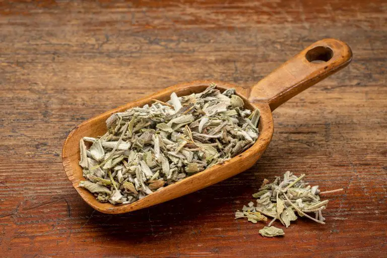 Dried Sage Vs Ground Sage Best Choice And Substitutions Gardening Chief