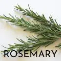 Gardening Chief Rosemary